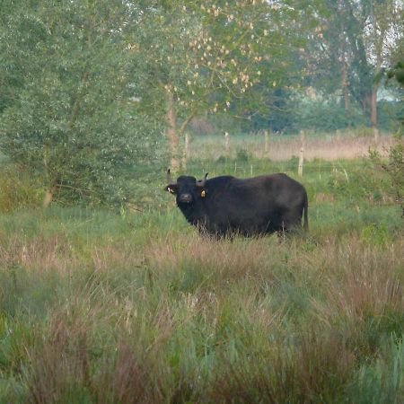 Landgasthof Vogt Bad Sassendorf Zewnętrze zdjęcie