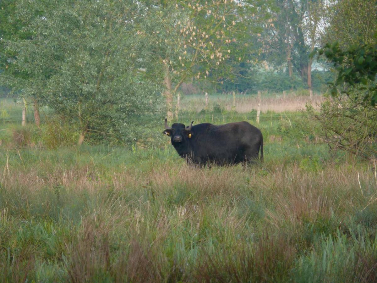 Landgasthof Vogt Bad Sassendorf Zewnętrze zdjęcie