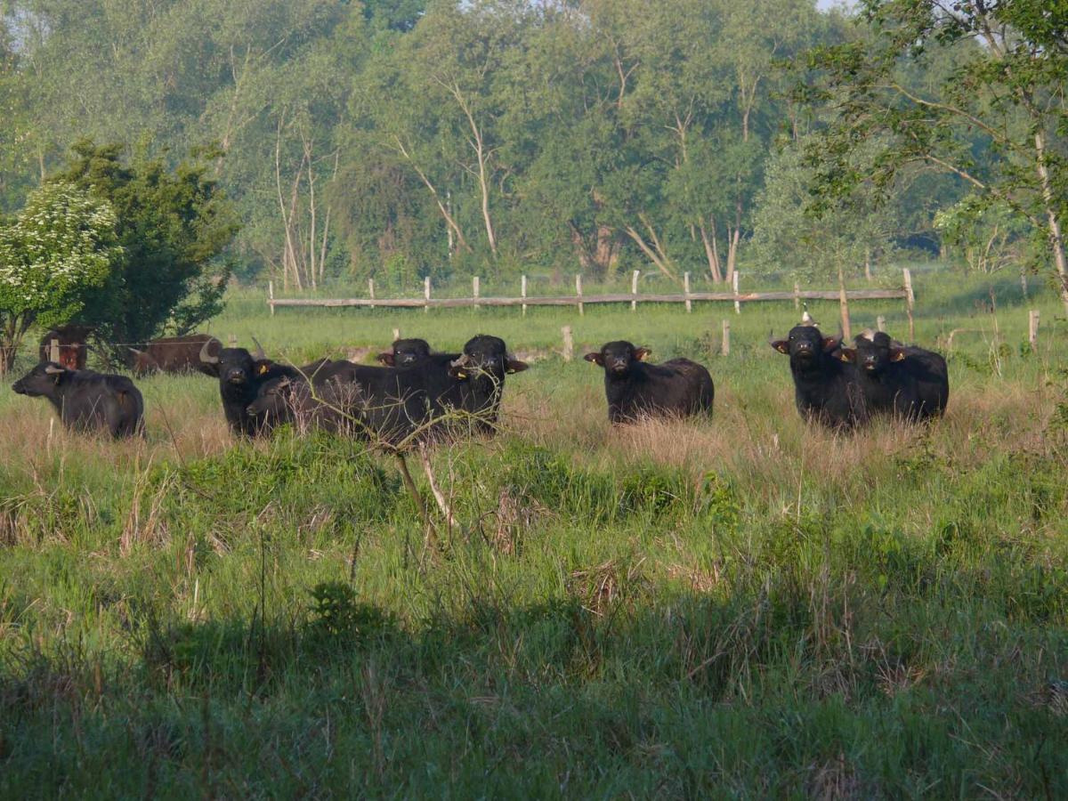 Landgasthof Vogt Bad Sassendorf Zewnętrze zdjęcie